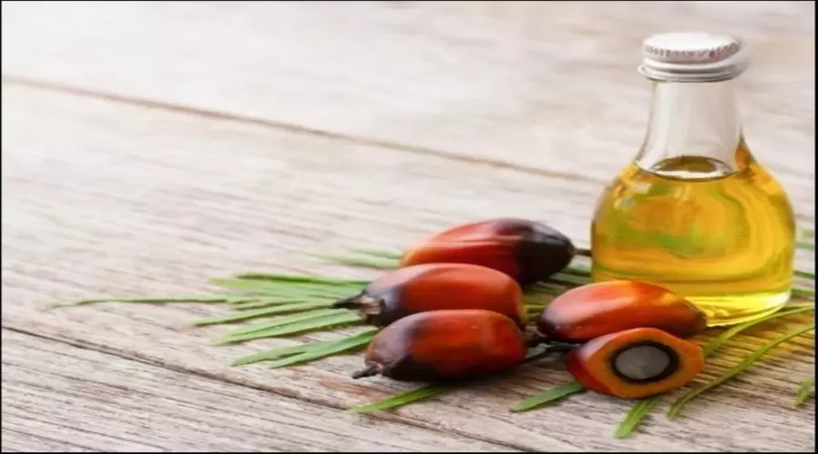 Trusted Batana Oil Bulk Suppliers for Premium Natural Oil Supply